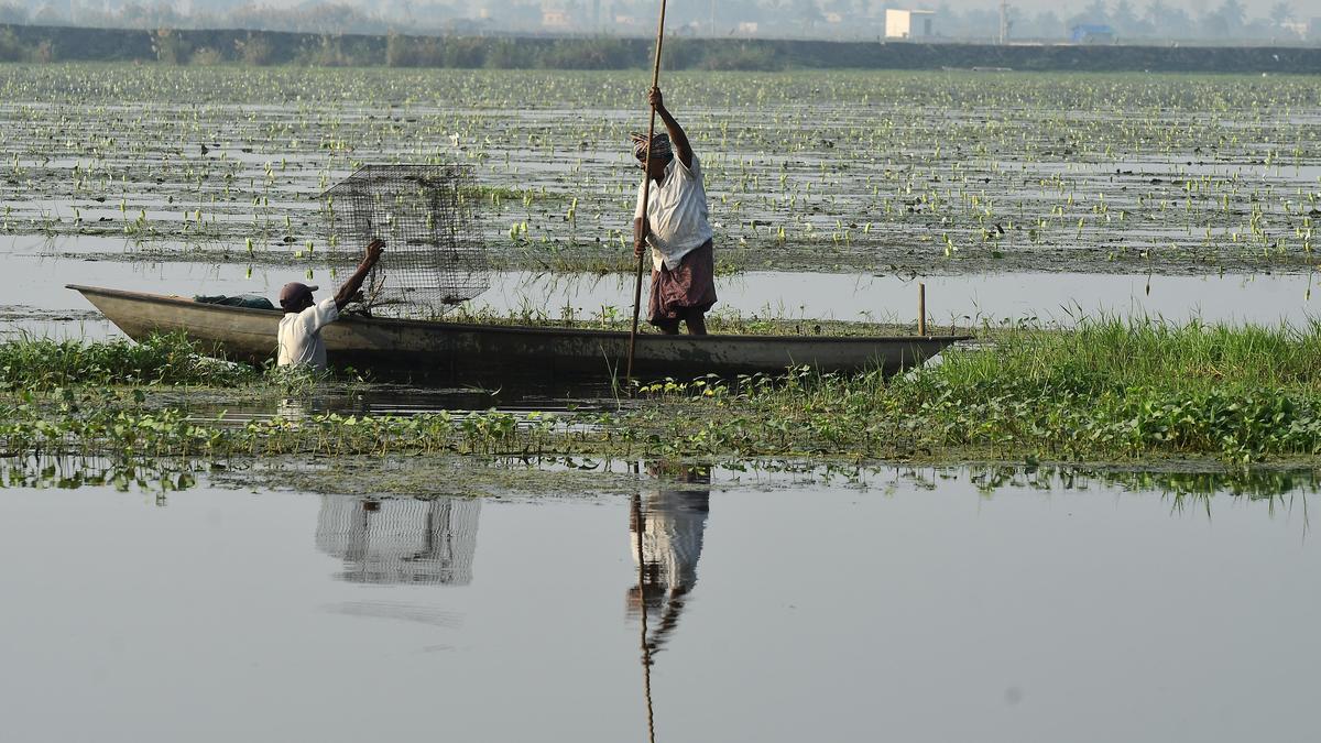 Delay in fixing Kolleru Lake boundaries irks SC-appointed panel