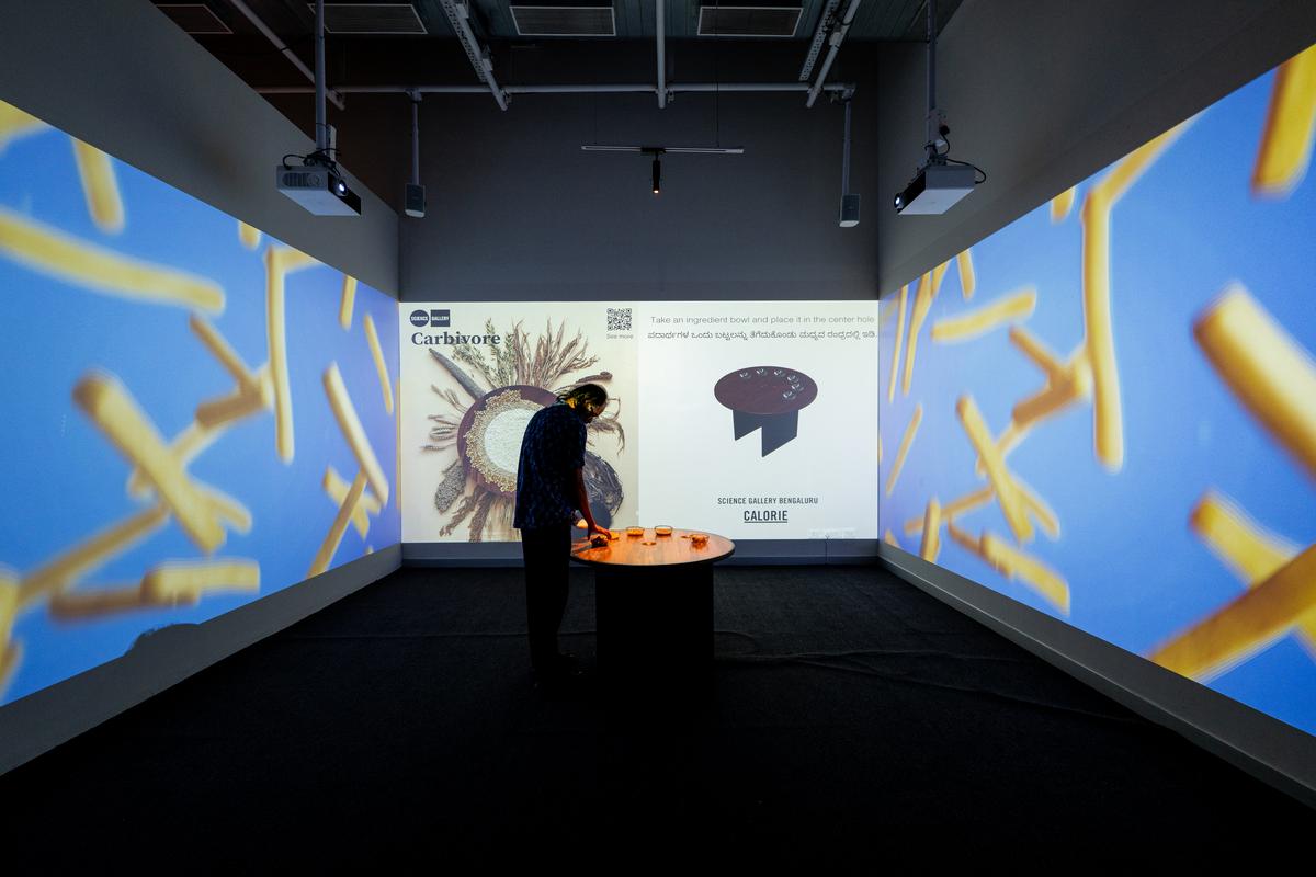 An installation from the exhibition 