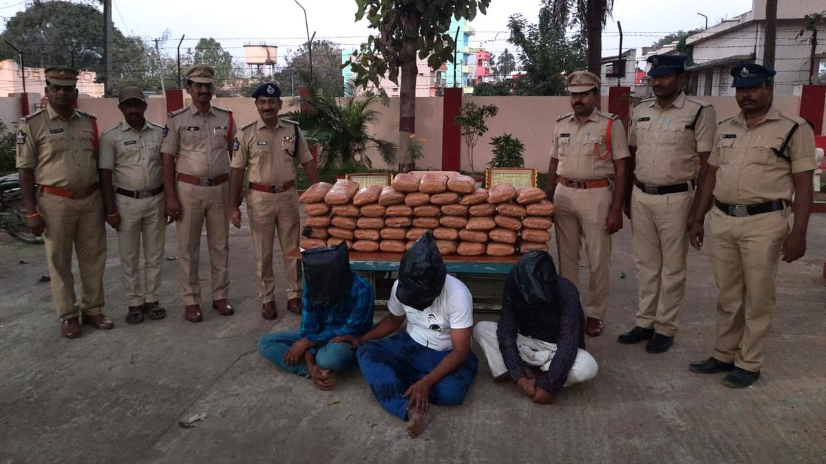 Three arrested, ganja worth ₹10 lakh seized in Chittoor of Andhra Pradesh