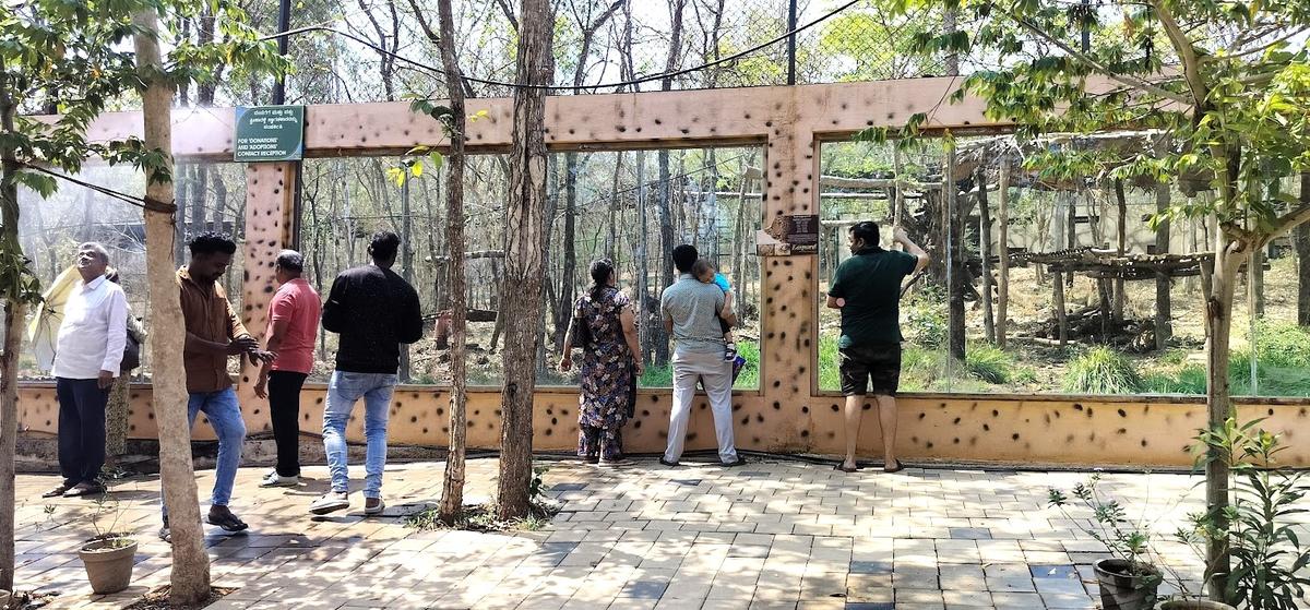 Visitors at Tyavarekoppa Tiger and Lion Safari.