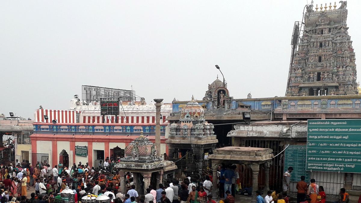 Hundial collection crosses ₹3.80 crore at Palani temple