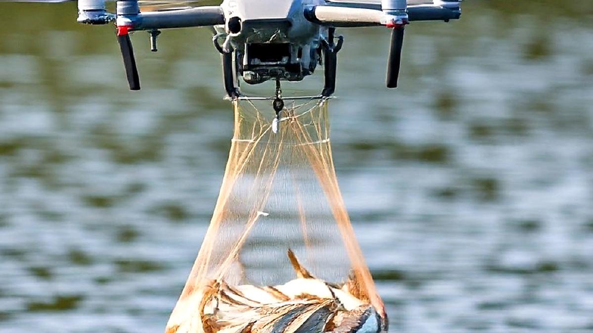 Soon, drones to help transport fresh fish from collection points in Puducherry