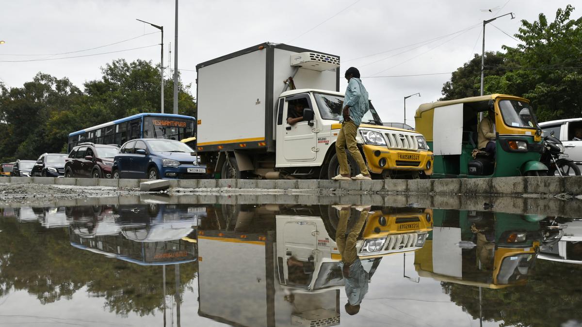 Bengaluru rains: Over 50 tree-falls reported, Chief Secretary inspects affected areas