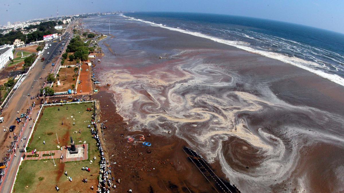 How the 2004 Indian Ocean earthquake transformed tsunami science