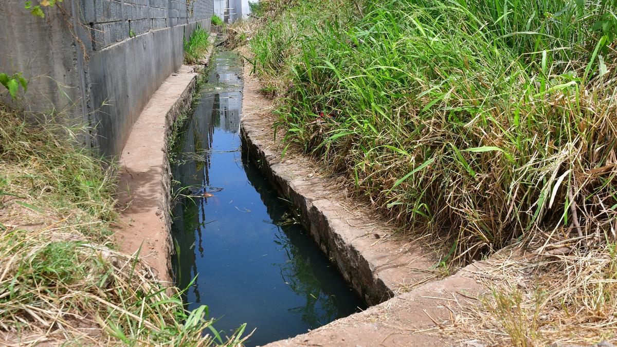 Residents Near In Kavundampalayam Request Coimbatore Corporation To