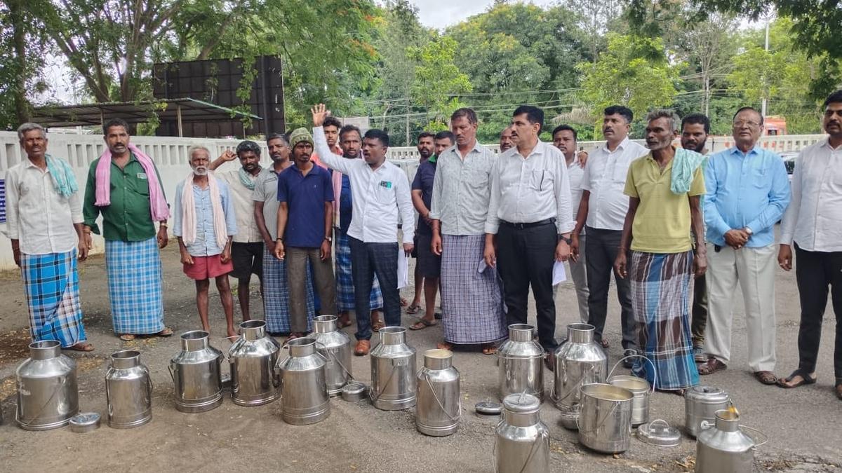Farmers stage protest in Hassan alleging that society refuses to take milk claiming they voted for Congress candidate in Lok Sabha elections