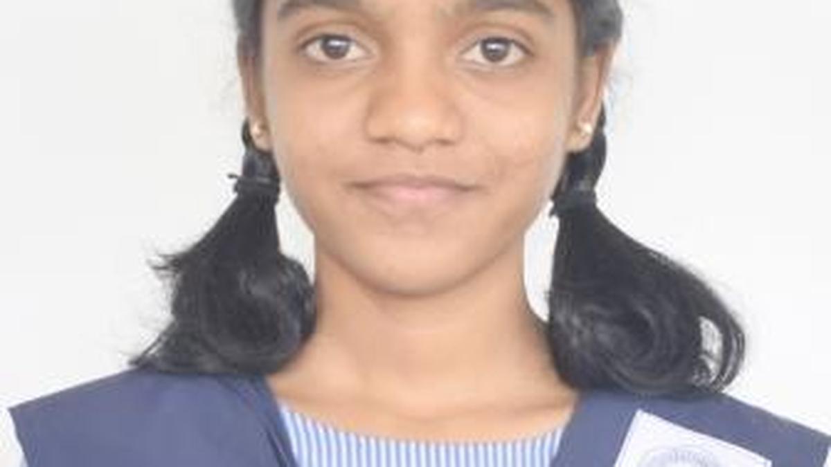 Class 10 and 12 CBSE students from two KVs and private schools fare well in Mangaluru