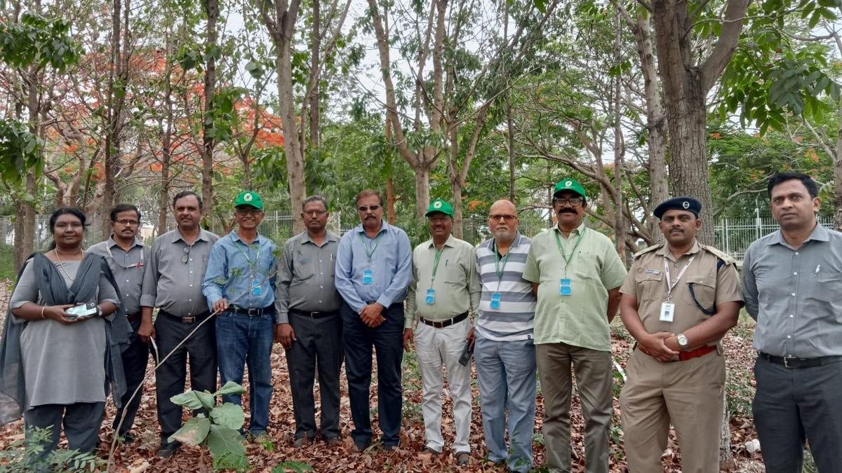 Greens decide against objecting to felling of trees in BEML premises