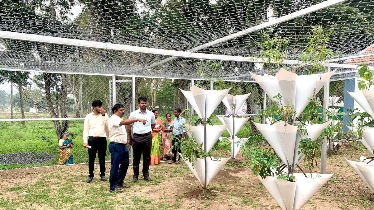 Eco-tourism to promote local tribal produce in Erode