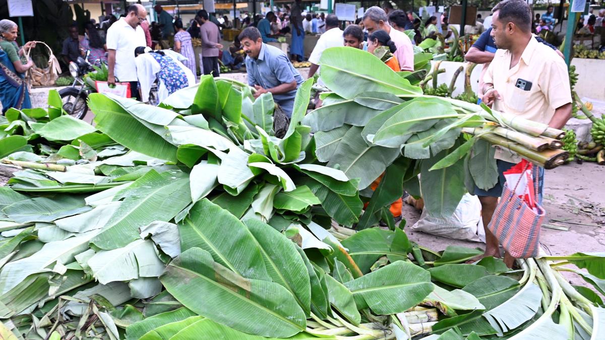 Tamil Nadu government lists out measures undertaken for farmers welfare