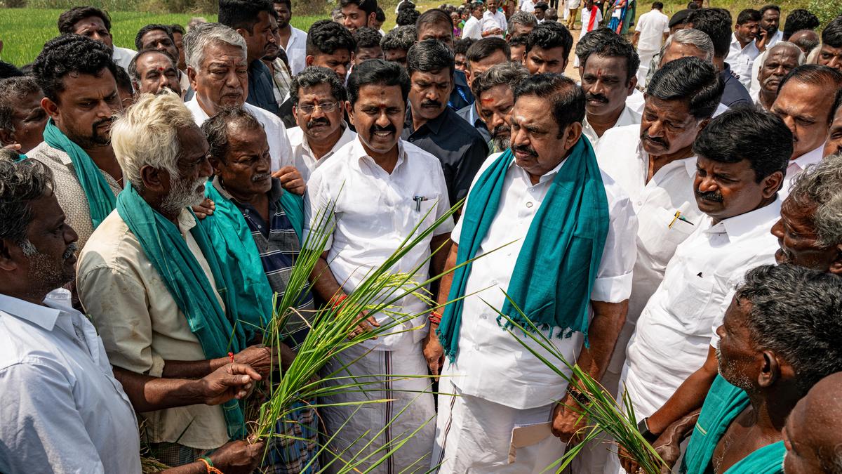 Edappadi Palaniswami urges Tamil Nadu government to reopen Mettur dam to save standing crop in delta districts