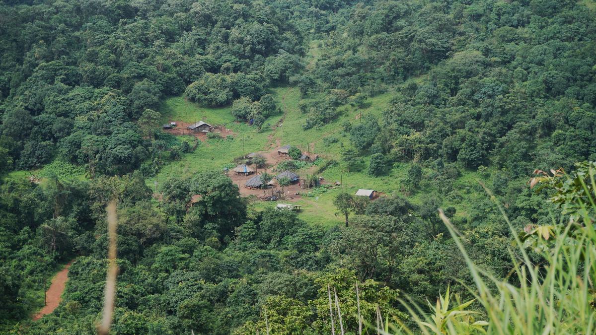 ‘Operation Sambhav’ foils Maoists’ bid to revive movement in Andhra Pradesh