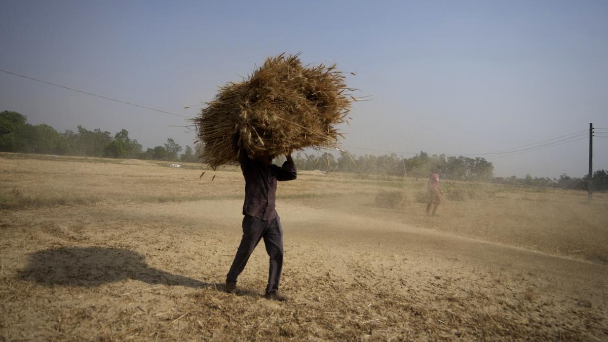 Buy wheat till May 31, Centre tells States