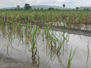 Belagavi leading trend of industrial units adopting eco-friendly green  building norms - The Hindu