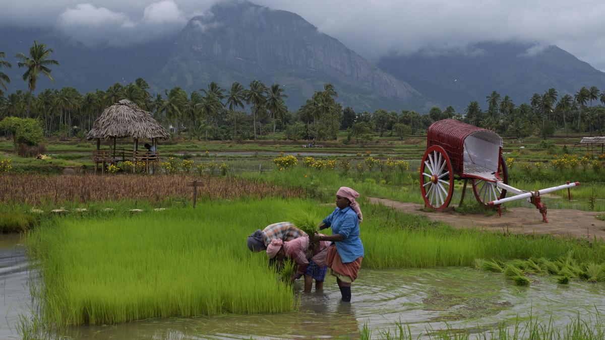 Introduce UG, PG, research courses in natural farming: ICAR to universities