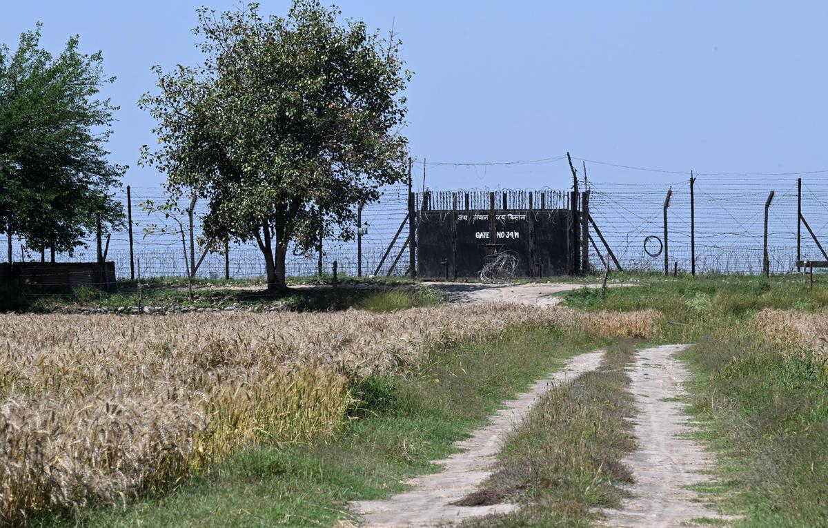 Punjab's border farmers caught between fence and Zero Line - The Hindu