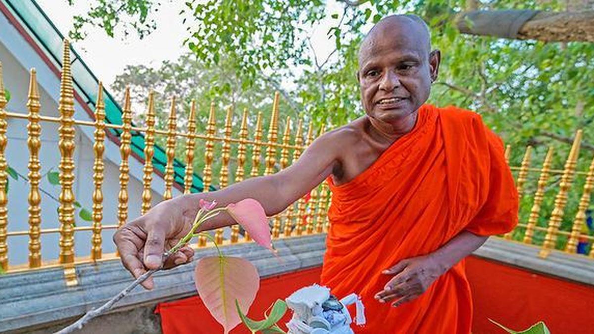 Sri Lanka's top monk suspended over alleged child sex abuse