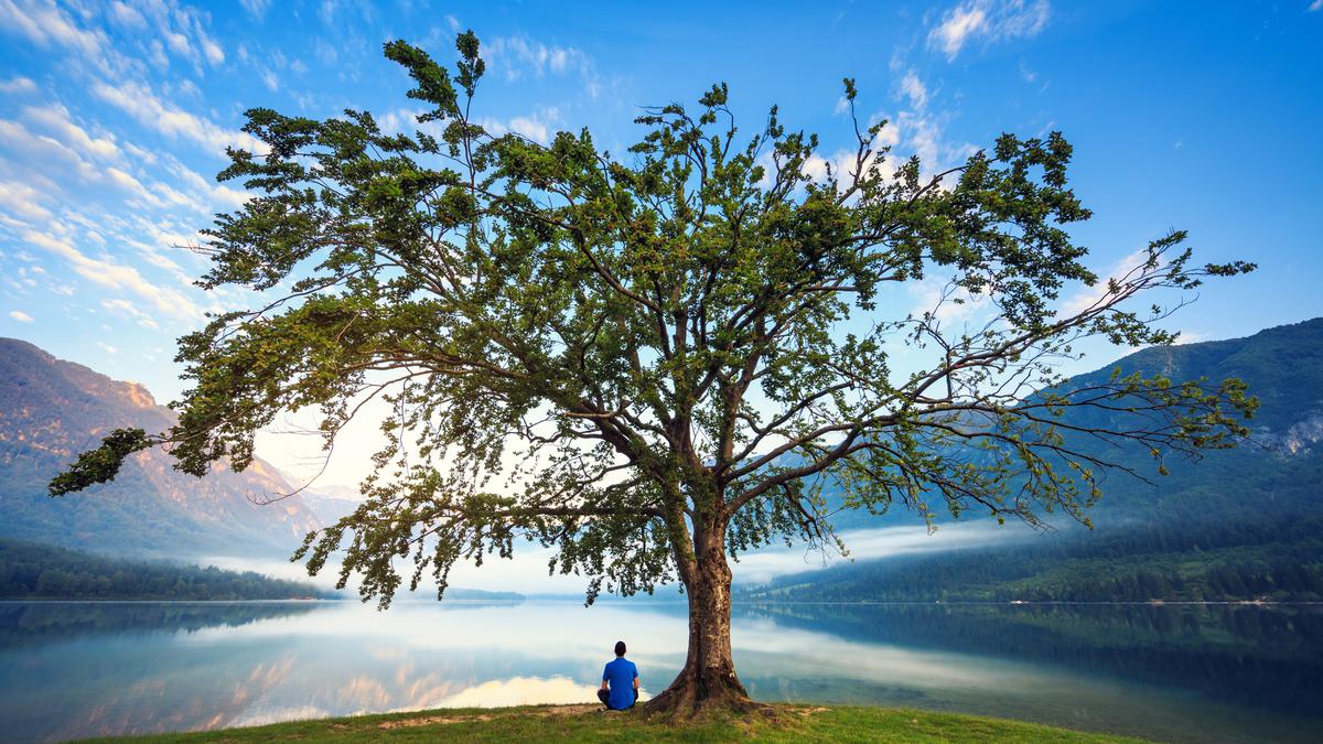 Review of Karen Armstrong’s Sacred Nature: Bringing nature into our collective consciousness