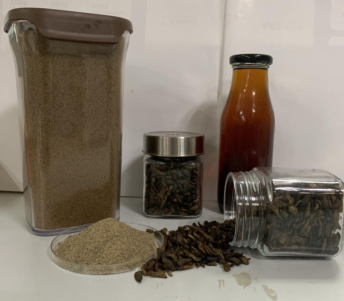  Dried insects and protein concentrate.