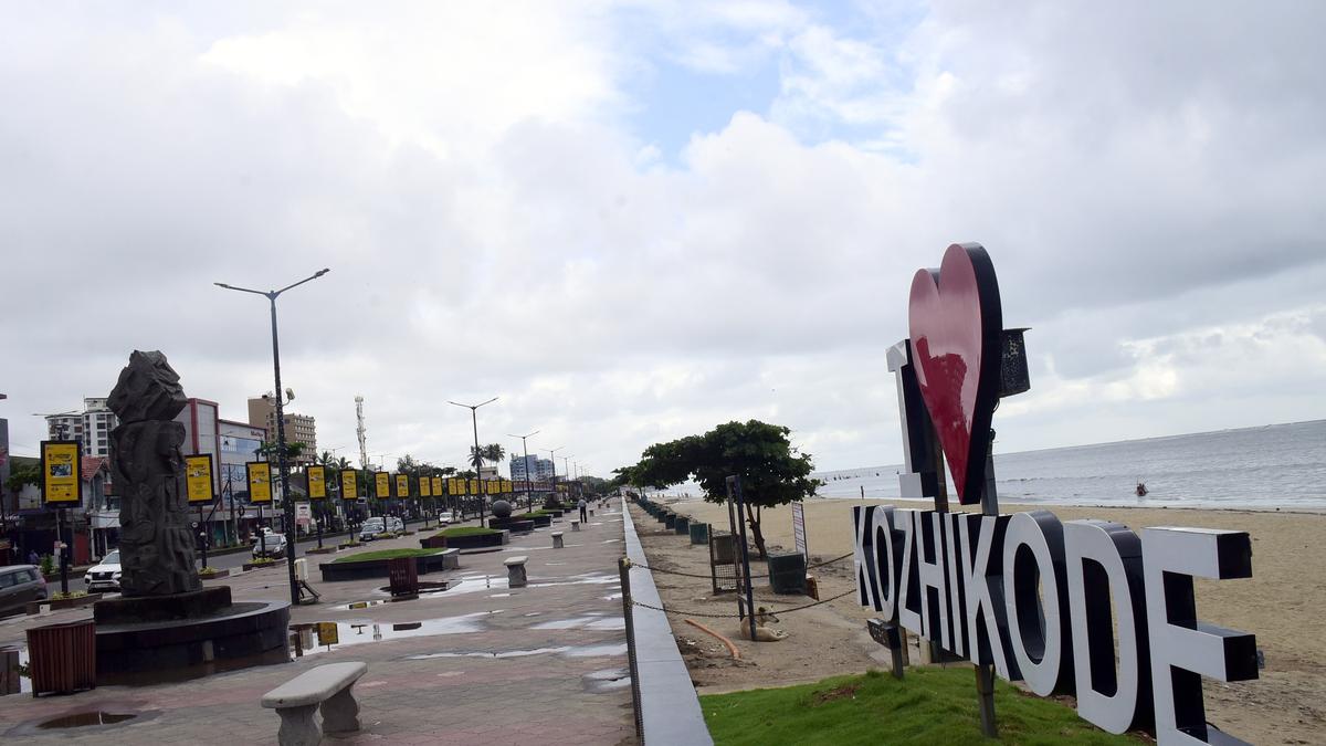 Kozhikode in panic mode after Nipah reported in urban area