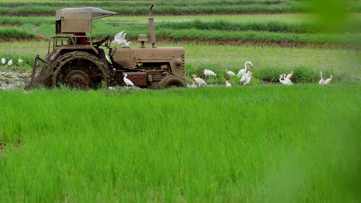 Kerala agricultural start-ups among top performers at national RKVY-RAFTAAR review meet