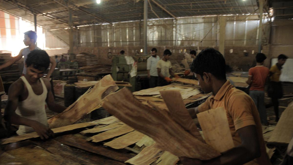 Growing tribe of migrant voters find voice in local body polls