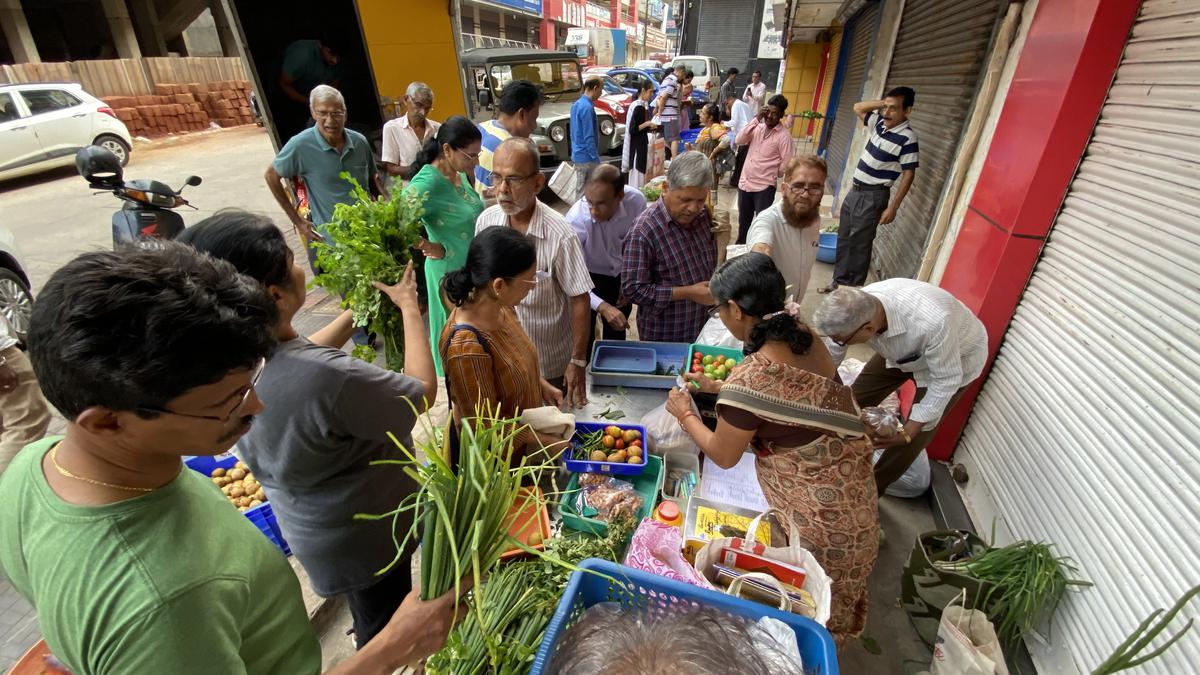 Promoting organic farmers, and produce for a decade, this Mangaluru group has shown the way
Premium