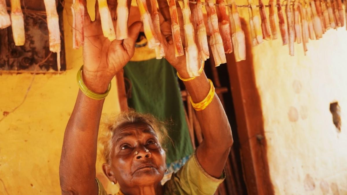 Guardians of ‘green gold’ in Godavari Valley
Premium