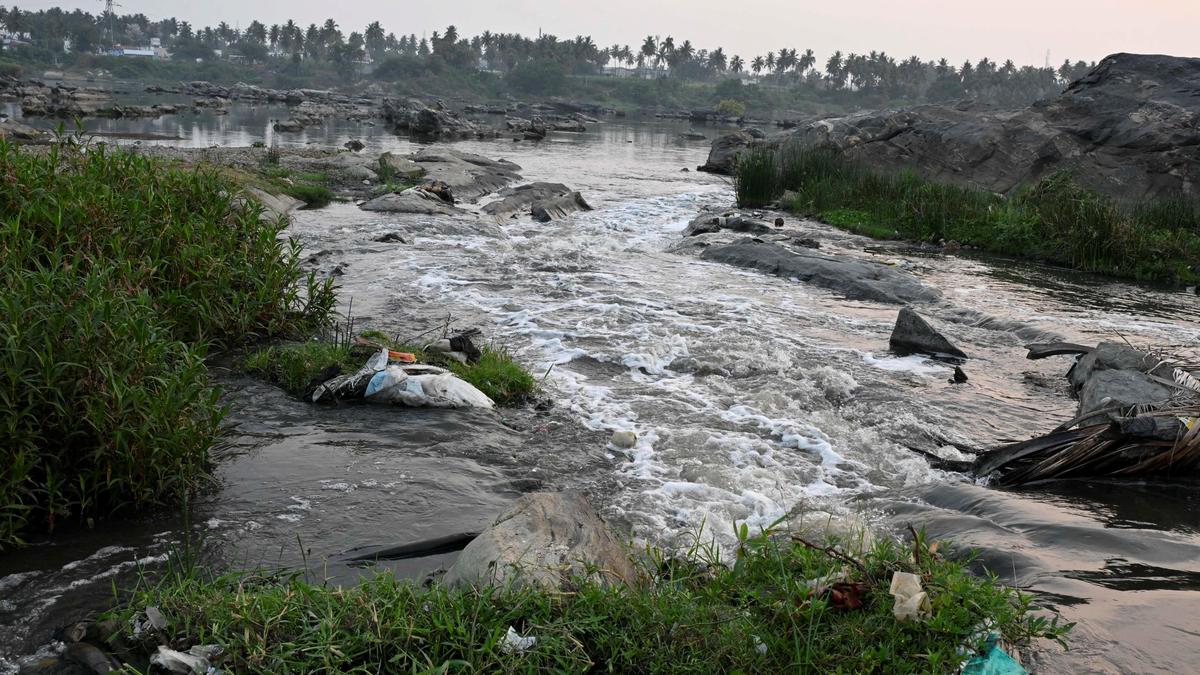 Untreated waste, poor civic infra mar Erode (East) Assembly constituency
