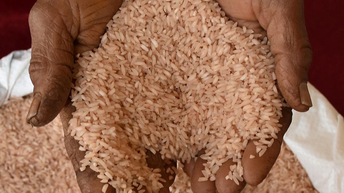 For the first time, price of Rajamudi rice variety has breached ₹100 mark owing to depleted supply