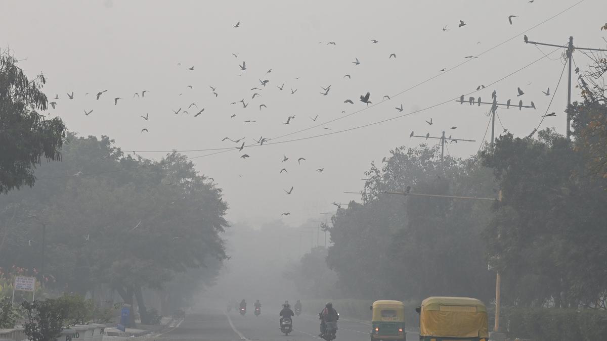 When air quality is a swinging yo-yo