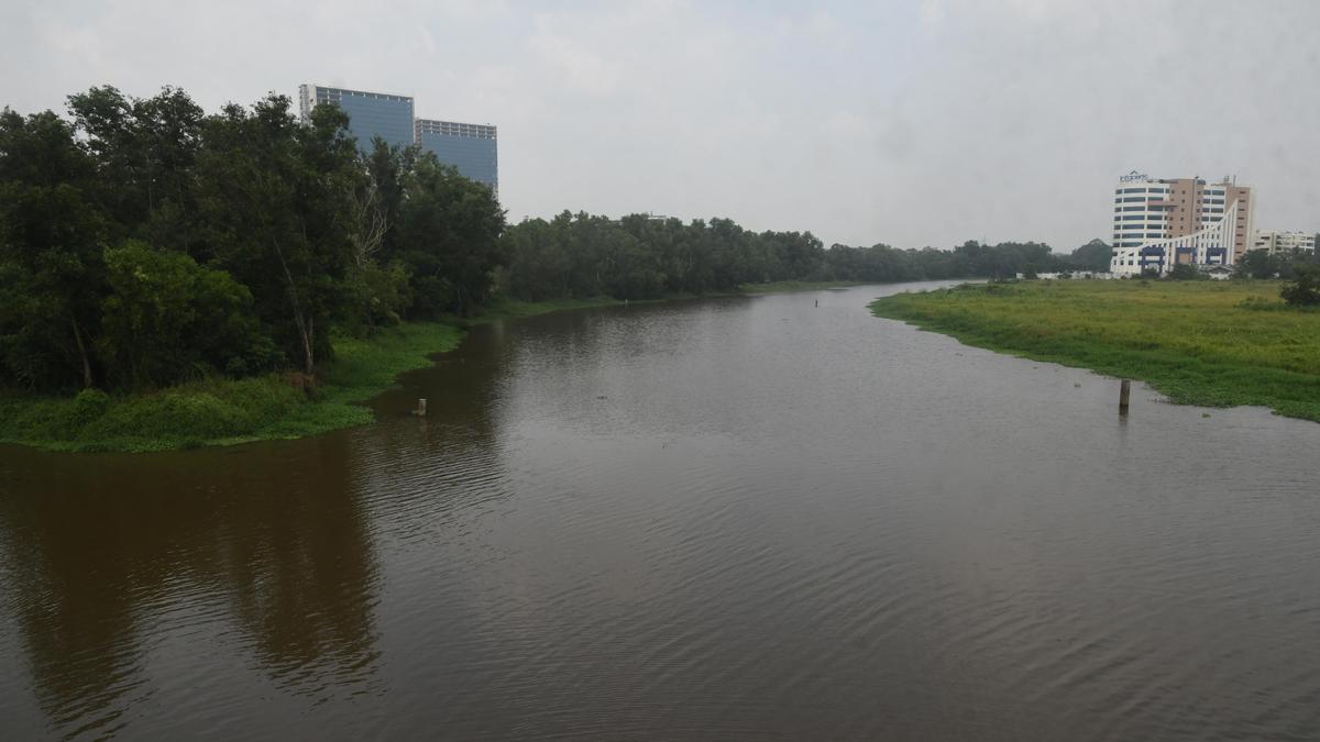 Kadambrayar pollution: local bodies told to step up enforcement