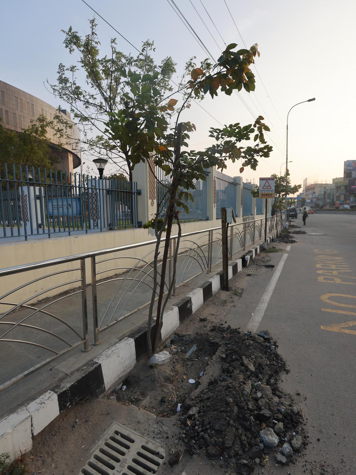 As árvores jovens na secção de Anna Salai que corre ao lado da estação de metro Government Estate não tinham espaço para respirar, a estrada pressionava cada um dos lóbulos dos seus “pulmões”. 