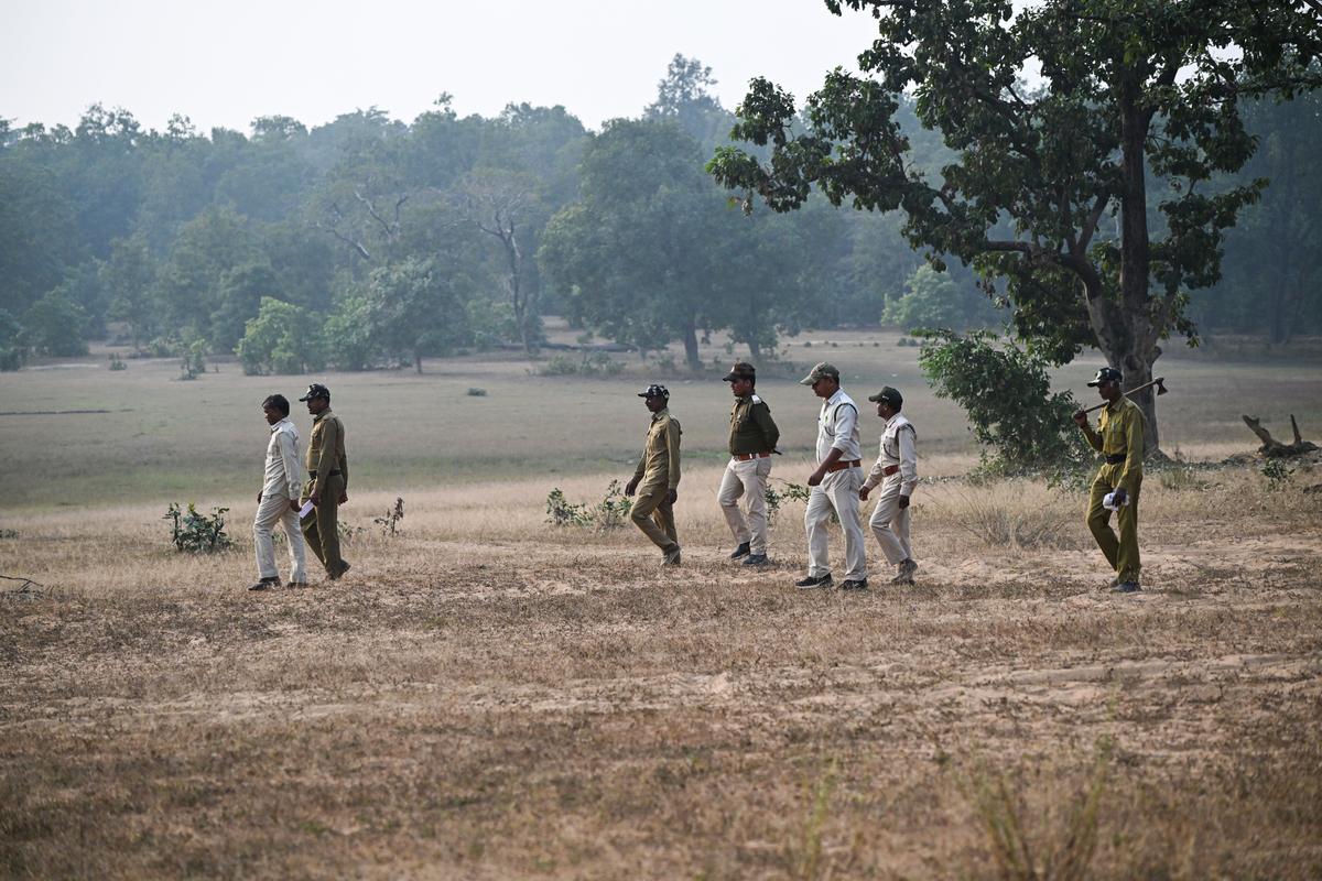 Forest guards and beat guards of the Bandhavgarh Tiger Reserve carry out patrolling duties near the spot where 10 elephants died in October.