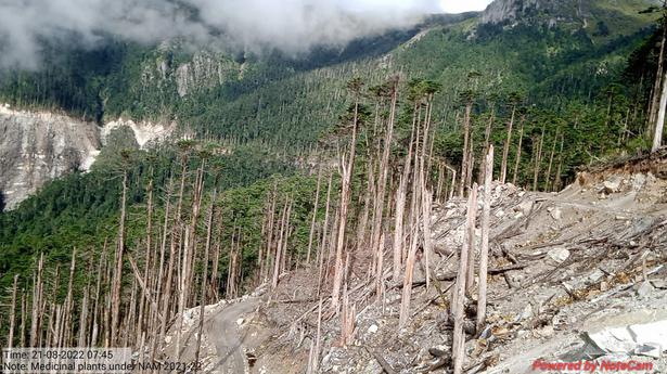 Arunachal villagers fight to save sacred forest from BRO road project 
