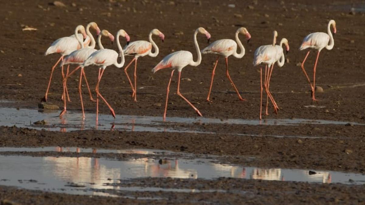 Here are the big stories from Karnataka today