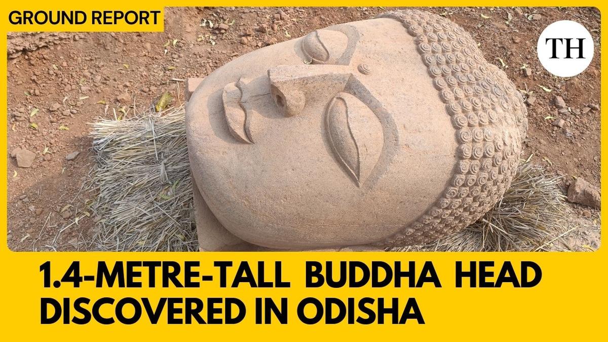 Watch: Discovery of largest Buddha head in Odisha’s Ratnagiri