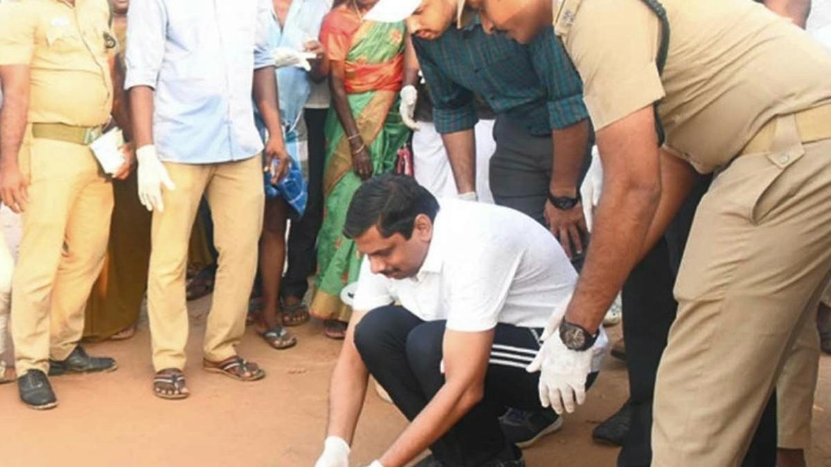 Over 170 Olive Ridley hatchlings released into the sea