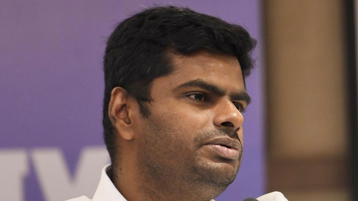 Annamalai wants action against those who attacked Indian fishermen