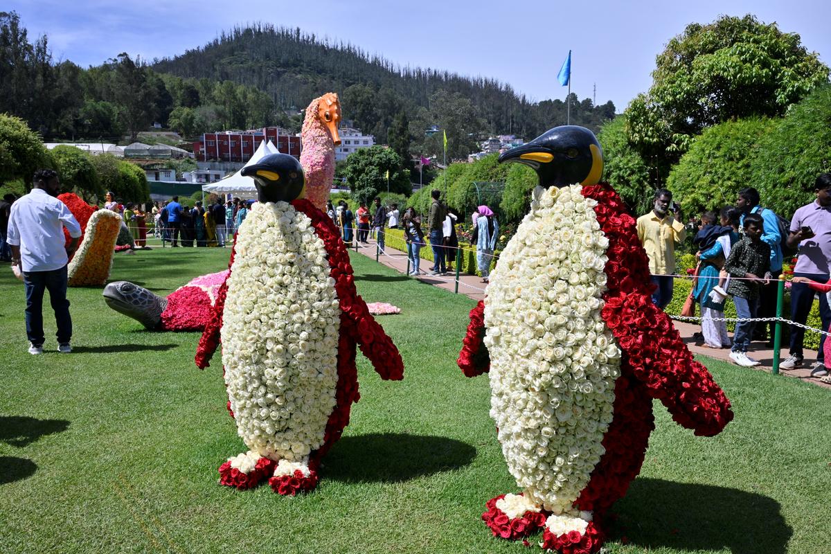 Algumas das exposições da 20ª exposição Rose no Government Rose Garden