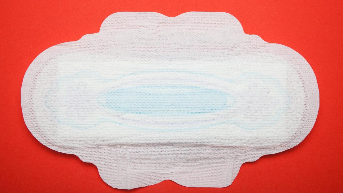 Ban use of toxic chemicals in sanitary pads, baby diapers: PIL plea in Madras High Court