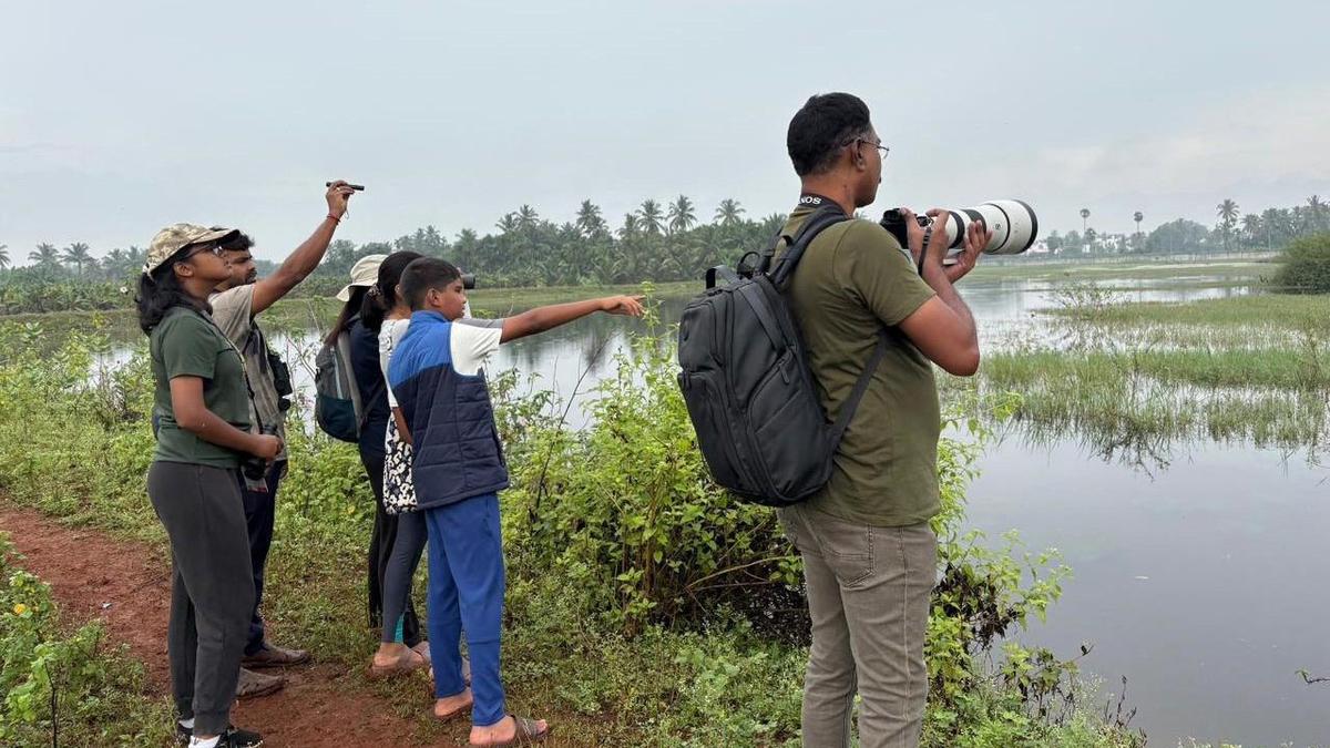 Pongal Bird Court, Asian Waterbird Census keep birders busy