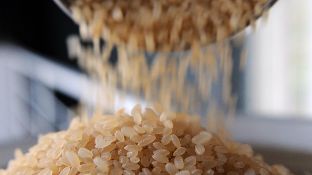 Centre bans export of broken rice due to domestic demand