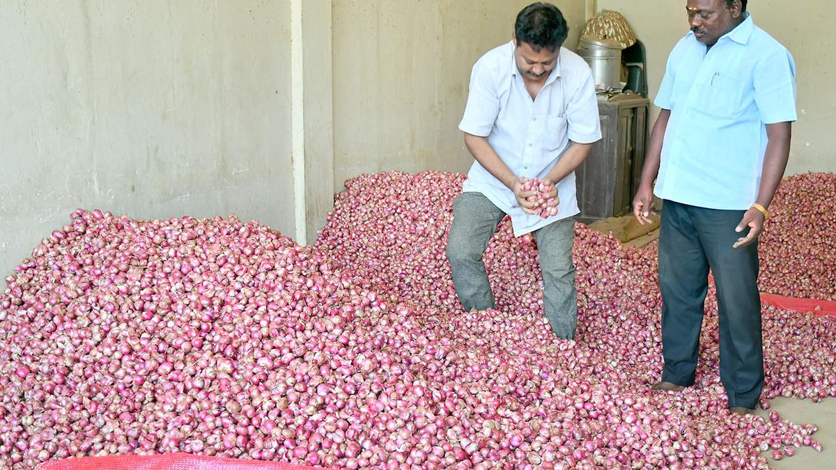 No move to ban onion exports: Centre