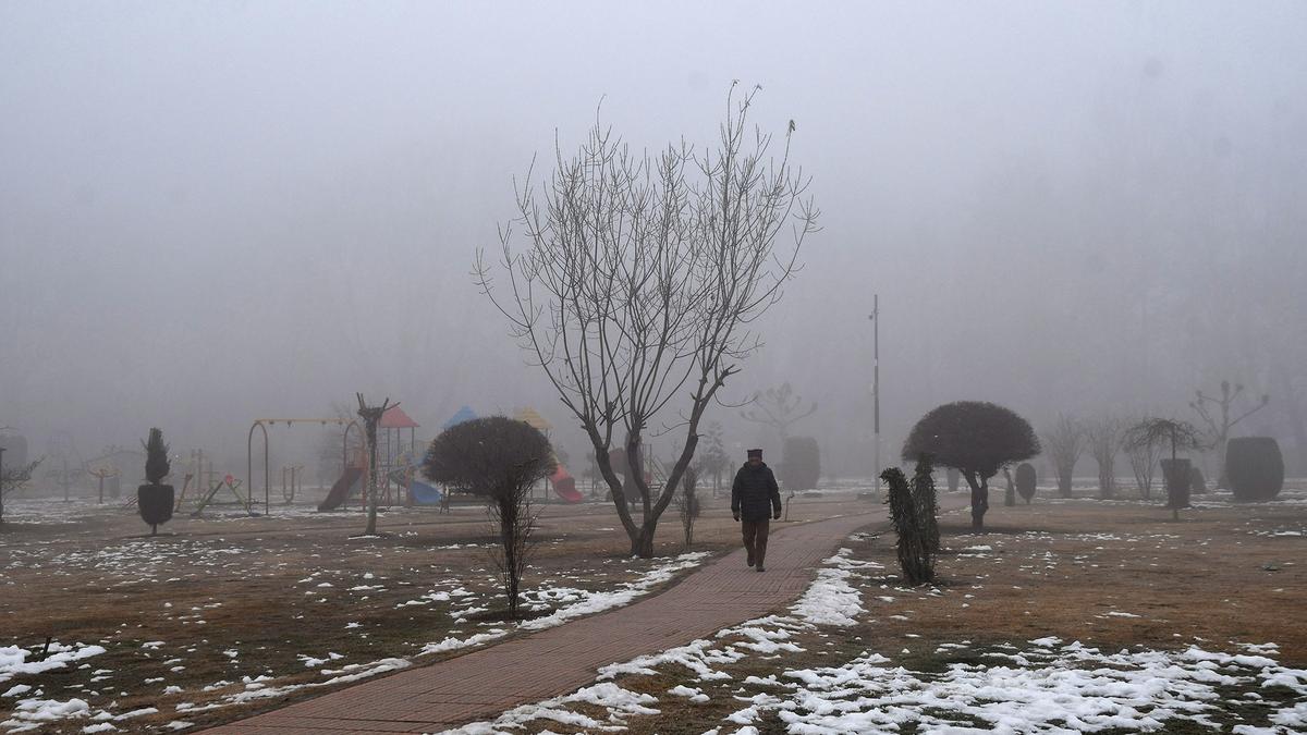 Thick fog in Kashmir valley hits flight operations at Srinagar airport