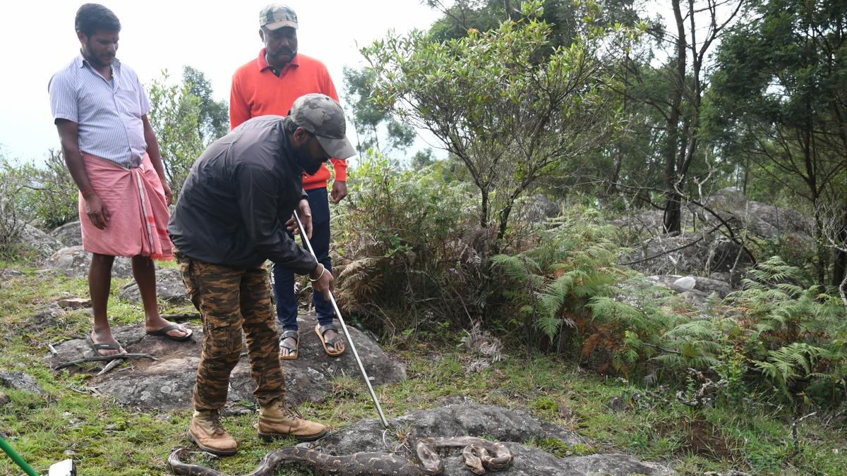 Presence of river beds - The Hindu