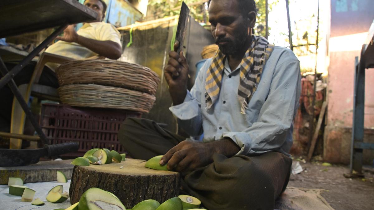 Volatile raw mango prices cloud pickle season