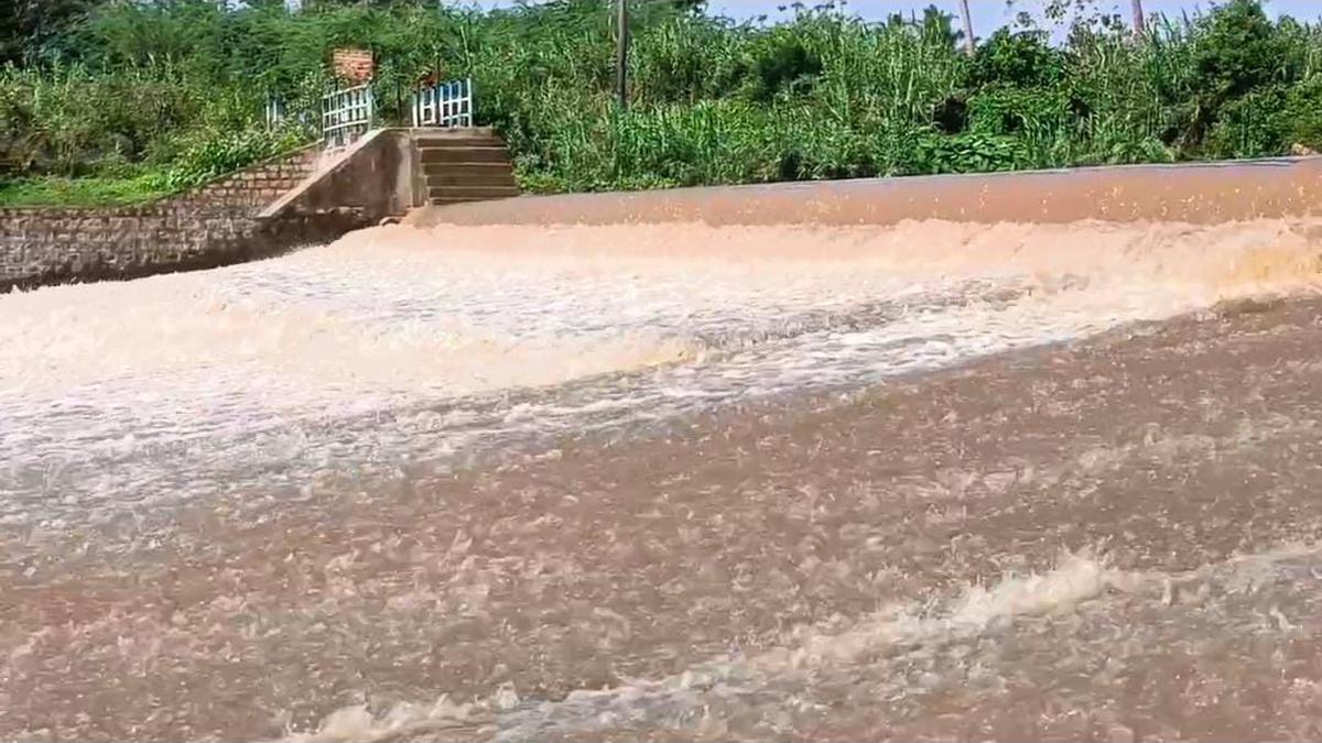 T.N. Rains | Heavy downpour in Vellore and neighbouring districts fills up tanks, waterbodies