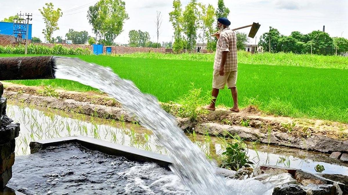 Align food system to hydrological realities