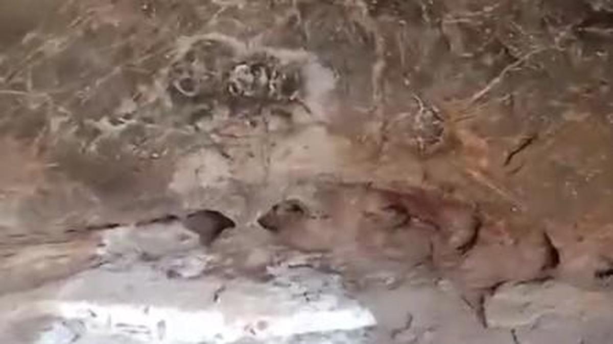 Alterations at ancient rock art site in Kumittipathi village in Coimbatore removed